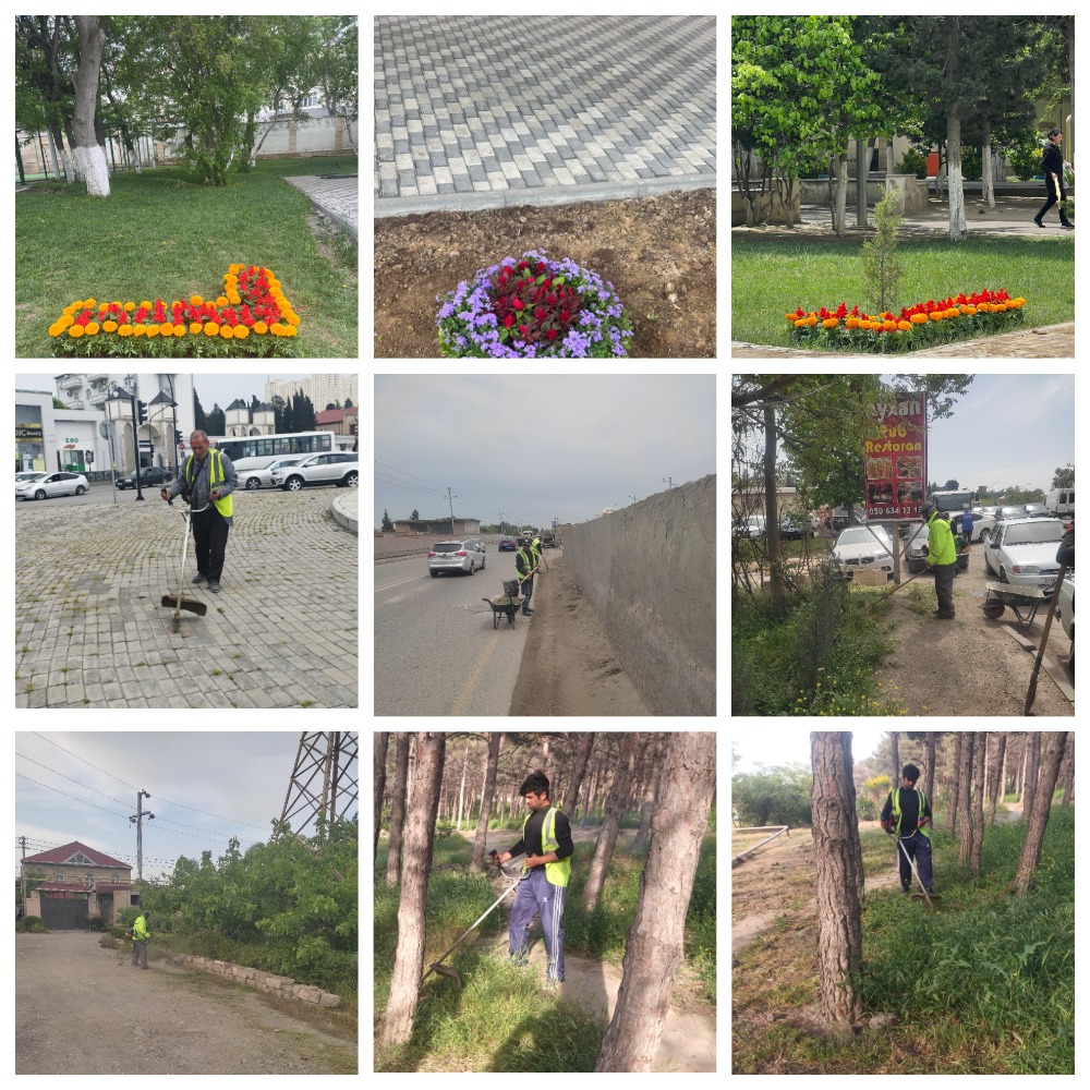 MyCollages.jpg