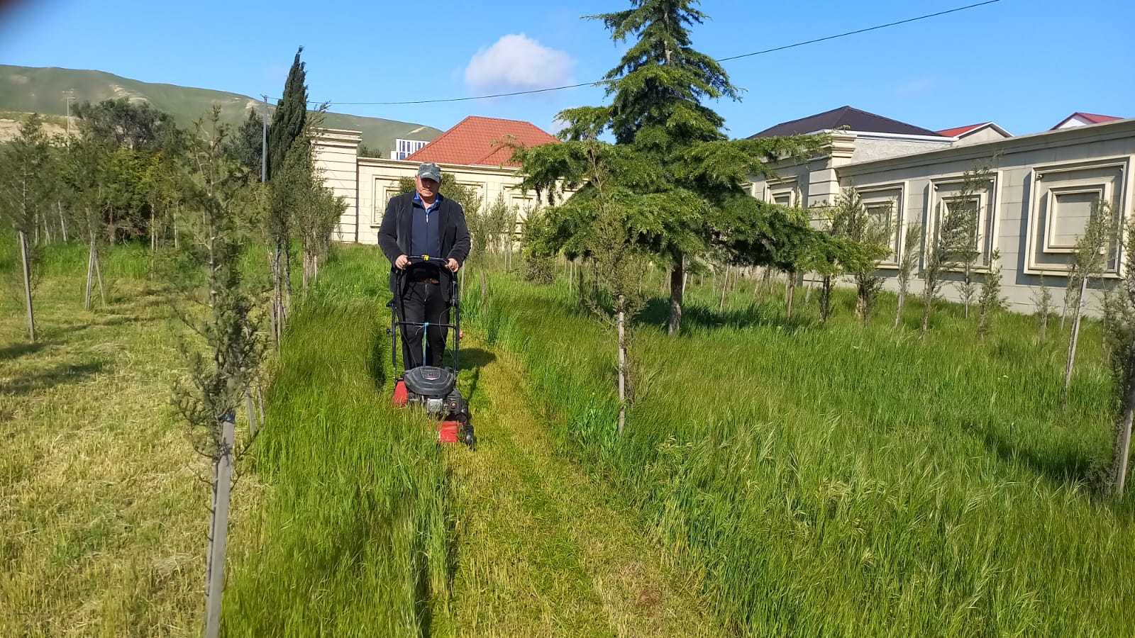 WhatsApp Image 2026-04-19 at 23.48.00 (4).jpeg