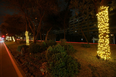 Novruz bayramı ərəfəsində Binəqədi rayonunun prospektləri, küçələri, parkları bayram əhval-ruhiyyəsi ilə bəzədilib