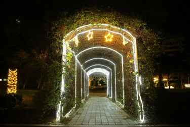 31 Dekabr - “Dünya Azərbaycanlılarının Həmrəyliyi Günü” və “Yeni il” bayramı münasibətilə Binəqədi rayonunun prospektləri, küçələri, parkları bəzədildi