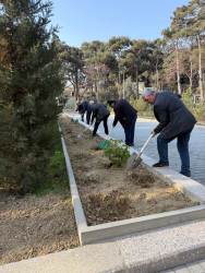 Binəqədi rayonunda 14 mart 2026-cı il tarixində növbəti ümumrayon iməciliyi keçirildi