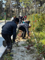 Binəqədi rayonunda 11 aprel 2026-cı il tarixində növbəti ümumrayon iməciliyi keçirildi
