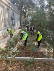 04 oktyabr 2025-ci il tarixində növbəti ümumrayon iməciliyi keçirildi