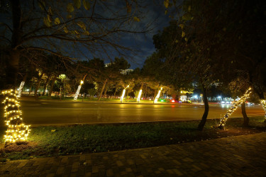 31 Dekabr - “Dünya Azərbaycanlılarının Həmrəyliyi Günü” və “Yeni il” bayramı münasibətilə Binəqədi rayonunun prospektləri, küçələri, parkları bəzədildi