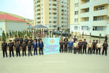 Xocəsən qəsəbəsində ağacəkmə aksiyası keçirildi