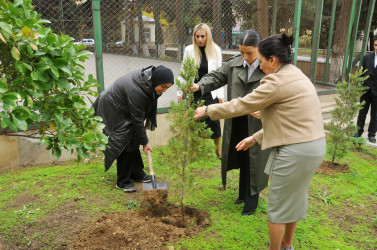 Binəqədi rayonu 135 nömrəli tam orta məktəbdə 8 Noyabr - Zəfər gününə həsr edilmiş “Qəhrəmanların izi ilə” adlı tədbir keçirildi