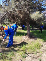 Binəqədi rayonunda 18 aprel 2026-cı il tarixində növbəti ümumrayon iməciliyi keçirildi