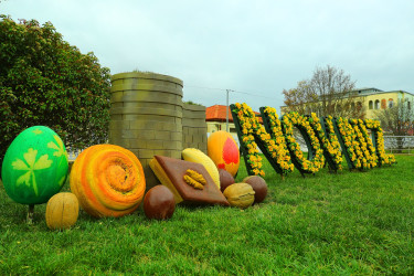 Novruz bayramı ərəfəsində Binəqədi rayonunun prospektləri, küçələri, parkları bayram əhval-ruhiyyəsi ilə bəzədilib