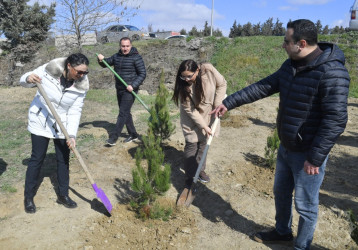 Binəqədidə “Şəhərsalma və Memarlıq İli” ili çərçivəsində ağacəkmə aksiyası keçirildi