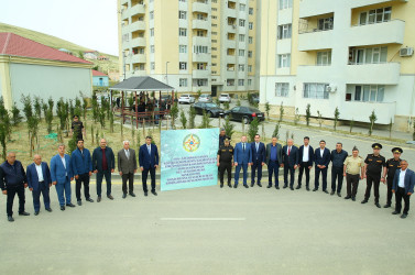 Xocəsən qəsəbəsində ağacəkmə aksiyası keçirildi
