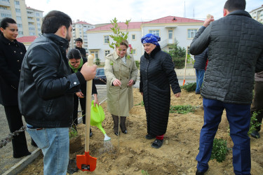 Binəqədi rayonunda Zəfər Günün beşinci ildönümü münasibətilə ağacəkmə aksiyası keçirildi