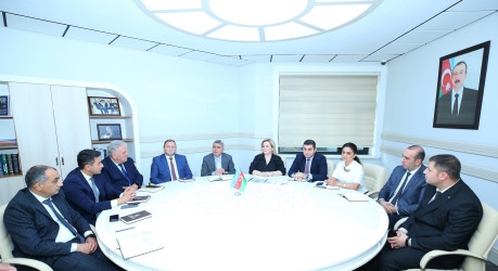 Binəqədi Rayon İcra Hakimiyyətində “Konstitusiya və Suverenlik İli” çərçivəsində “Əlilliyi olan şəxslər üçün xidmətlərdən istifadə zamanı müyəssərliyin təmin olunması” mövzusunda təlim keçirildi