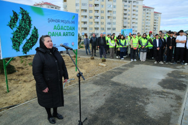 Binəqədi rayonunda Zəfər Günün beşinci ildönümü münasibətilə ağacəkmə aksiyası keçirildi