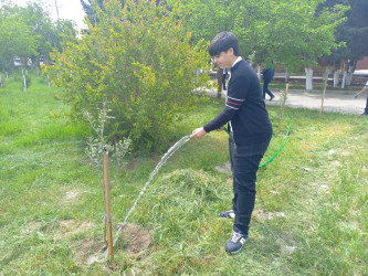 Xocəsən qəsəbəsində “Konstitusiya və Suverenlik İli” çərçivəsində 02 may 2025-ci il tarixində ağacəkmə aksiyasi keçirildi