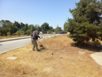Binəqədi rayonunda metronun "Avtovagzal" stansiyası ətrafında yerləşən parkda abadlıq işləri mütəmadi davam etdirilir