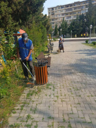 Binəqədi rayonunda 14 iyun 2025-ci il tarixində növbəti ümumrayon iməciliyi keçirildi