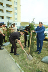 Xocəsən qəsəbəsində ağacəkmə aksiyası keçirildi