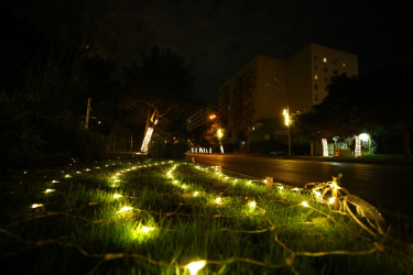 31 Dekabr - “Dünya Azərbaycanlılarının Həmrəyliyi Günü” və “Yeni il” bayramı münasibətilə Binəqədi rayonunun prospektləri, küçələri, parkları bəzədildi