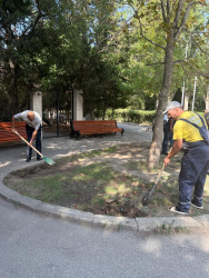Binəqədi rayonunda 05 sentyabr 2026-cı il tarixində növbəti ümumrayon iməciliyi keçirildi