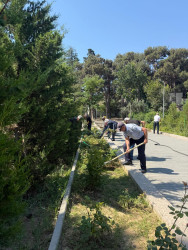 Paytaxtda keçirilən ümumşəhər iməciliyi çərçivəsində Binəqədi rayonunda növbəti ümumrayon iməciliyi keçirildi