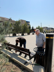 Binəqədi rayonunda 19 sentyabr 2026-cı il tarixində növbəti ümumrayon iməciliyi keçirildi