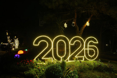 31 Dekabr - “Dünya Azərbaycanlılarının Həmrəyliyi Günü” və “Yeni il” bayramı münasibətilə Binəqədi rayonunun prospektləri, küçələri, parkları bəzədildi