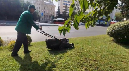 Binəqədi rayonunda 05 sentyabr 2026-cı il tarixində növbəti ümumrayon iməciliyi keçirildi