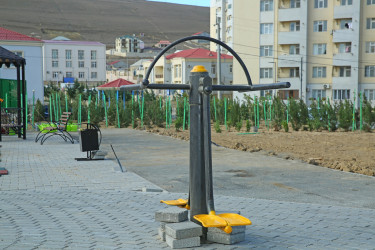 Binəqədi rayonunda Zəfər Günün beşinci ildönümü münasibətilə ağacəkmə aksiyası keçirildi