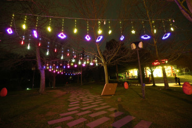 Novruz bayramı ərəfəsində Binəqədi rayonunun prospektləri, küçələri, parkları bayram əhval-ruhiyyəsi ilə bəzədilib