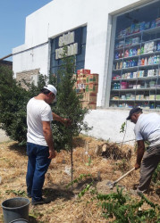Binəqədi rayonunda 12 iyul 2025-ci il tarixində növbəti ümumrayon iməciliyi keçirildi
