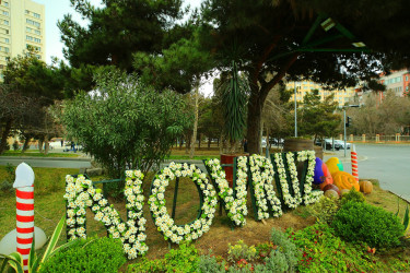 Novruz bayramı ərəfəsində Binəqədi rayonunun prospektləri, küçələri, parkları bayram əhval-ruhiyyəsi ilə bəzədilib