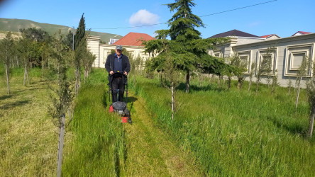 Binəqədi rayonunda 18 aprel 2026-cı il tarixində növbəti ümumrayon iməciliyi keçirildi