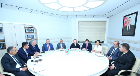 Binəqədi Rayon İcra Hakimiyyətində “Konstitusiya və Suverenlik İli” çərçivəsində  “Rayon İcra Hakimiyyətində və tabeli qurumlarda çalışan məsul şəxslərə iş fəaliyyətində stressin idarə edilməsi, ünsiyyət bacarıqlarının təkmilləşməsi və iş şəraitinə adaptasiya olunma mexanizmi” mövzusunda təlim keçirildi