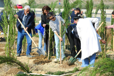 Binəqədi rayonunda “Yaşıl dünya naminə həmrəylik ili” çərçivəsində ağacəkmə aksiyaları davam edir