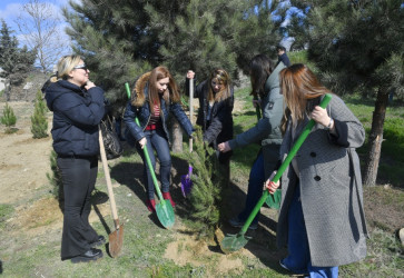 Binəqədidə “Şəhərsalma və Memarlıq İli” ili çərçivəsində ağacəkmə aksiyası keçirildi