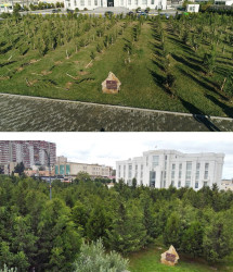 Binəqədi rayonu Dərnəgül yaşayış massivində şəhidlərin xatirə parkı böyük yaşıllıq ərazisinə çevrilmişdir