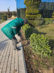 Binəqədi rayonunda 14 mart 2026-cı il tarixində növbəti ümumrayon iməciliyi keçirildi