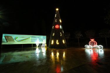 31 Dekabr - “Dünya Azərbaycanlılarının Həmrəyliyi Günü” və “Yeni il” bayramı münasibətilə Binəqədi rayonunun prospektləri, küçələri, parkları bəzədildi