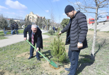 Binəqədidə “Şəhərsalma və Memarlıq İli” ili çərçivəsində ağacəkmə aksiyası keçirildi