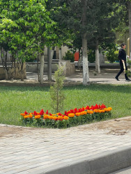 05 may 2025-ci il tarixində rayonun Biləcəri qəsəbəsində iməclik işləri davam etdirildi