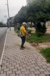 19 iyul 2025-ci il tarixində növbəti ümumrayon iməciliyi keçirildi