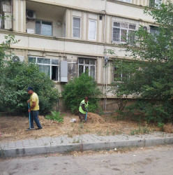 19 iyul 2025-ci il tarixində növbəti ümumrayon iməciliyi keçirildi