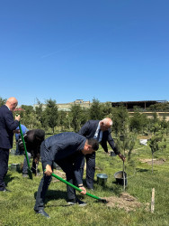 Binəqədi rayonunda "Dərnəgül" metrosunun yaxınlığındakı ərazidə “Konstitusiya və Suverenlik İli” çərçivəsində ümummilli lider Heydər Əliyevin anadan olmasının 102-ci ildönümü münasibətilə ağacəkmə aksiyası keçirildi