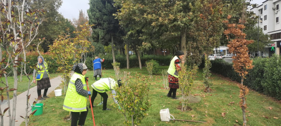 Binəqədi rayonunda növbəti iməcilik işləri həyata keçirildi