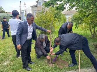 Xocəsən qəsəbəsində “Konstitusiya və Suverenlik İli” çərçivəsində 02 may 2025-ci il tarixində ağacəkmə aksiyasi keçirildi