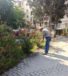 Binəqədi rayonunda 14 iyun 2025-ci il tarixində növbəti ümumrayon iməciliyi keçirildi