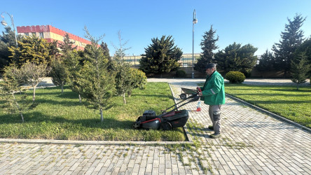 Binəqədi rayonunda 11 aprel 2026-cı il tarixində növbəti ümumrayon iməciliyi keçirildi
