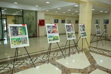 Binəqədi rayonunda “Konstitusiya və Suverenlik İli” çərçivəsində “Qərbi Azərbaycan İrsi: Ermənistanda azərbaycanlılara məxsus qəbiristanlıqların sistemli qaydada dağıdılmasının nəticələri və beynəlxalq hüquqi məsuliyyətə dair” hesabat və materiallar kitabının I cildinin təqdimat mərasimi keçirildi