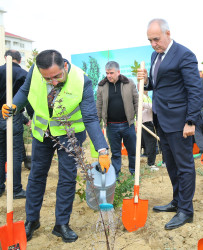 Binəqədi rayonunda Zəfər Günün beşinci ildönümü münasibətilə ağacəkmə aksiyası keçirildi