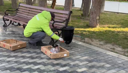 Binəqədi rayonunda 14 mart 2026-cı il tarixində növbəti ümumrayon iməciliyi keçirildi